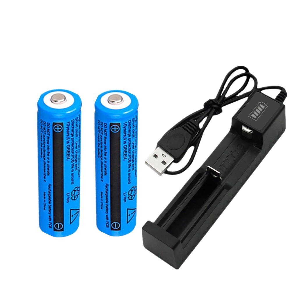 Akku 3000mAh 3,7V mit USB-Ladegerät –