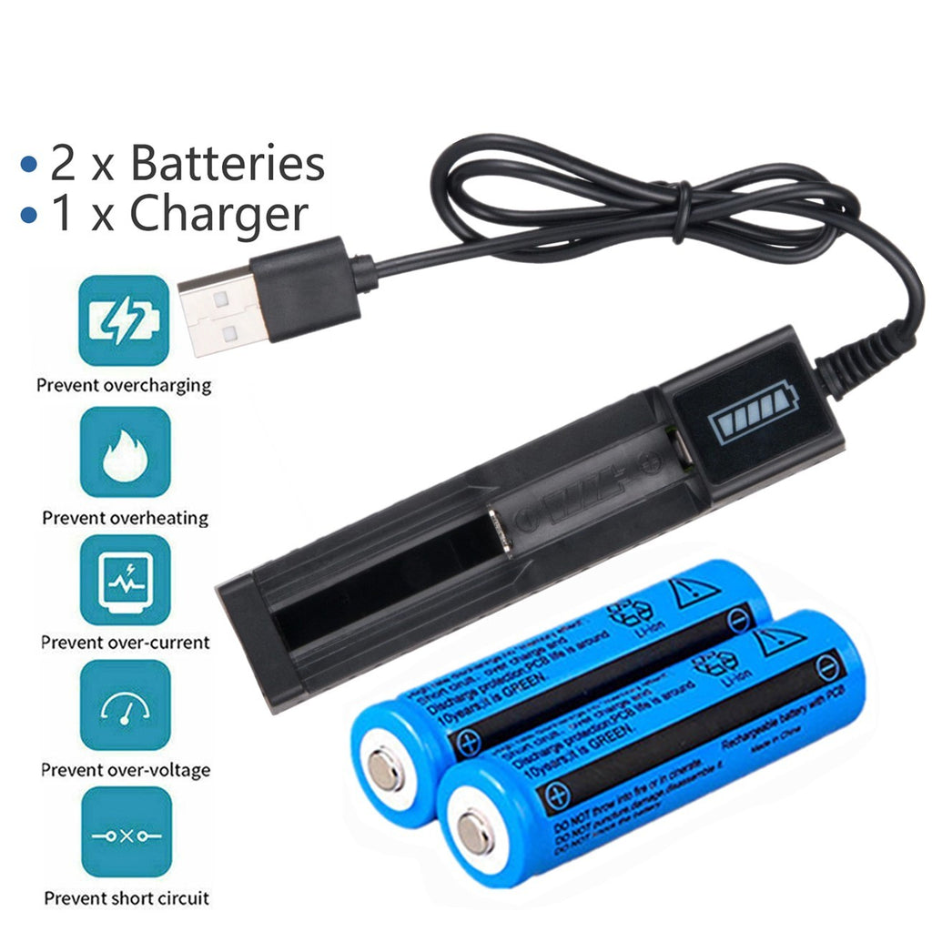Akku 3000mAh 3,7V mit USB-Ladegerät –