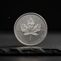 Silber Maple Leaf 1oz